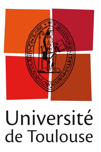 图卢兹大学女篮